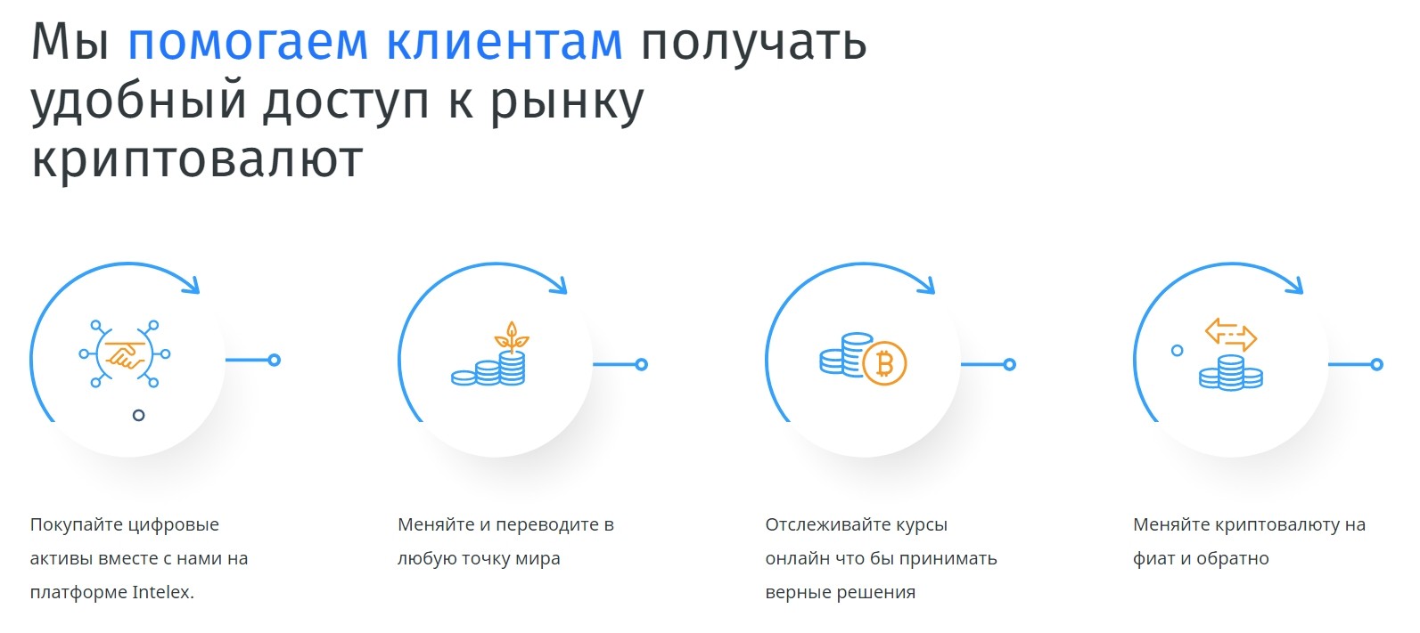 Деятельность компании Intelex