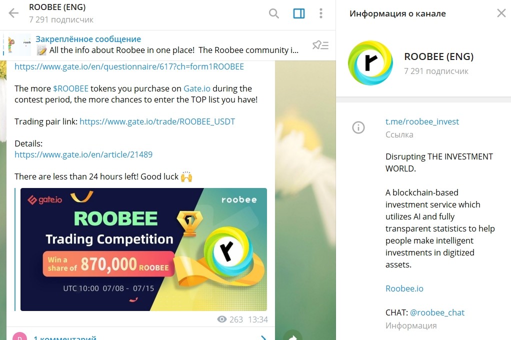 Телеграмм канал Roobee