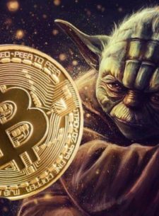 Crypto Yoda