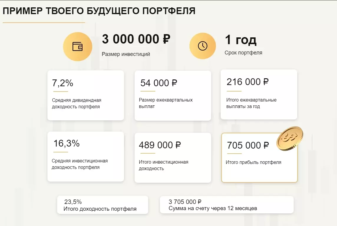 Примеры портфеля в НФБИ