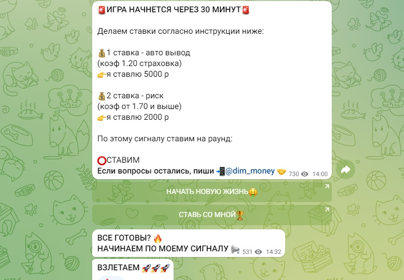 Инструкция по ставкам