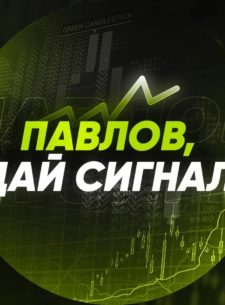 Проект Павлов, дай сигнал !