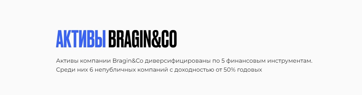 Активы компании Bragin&Co