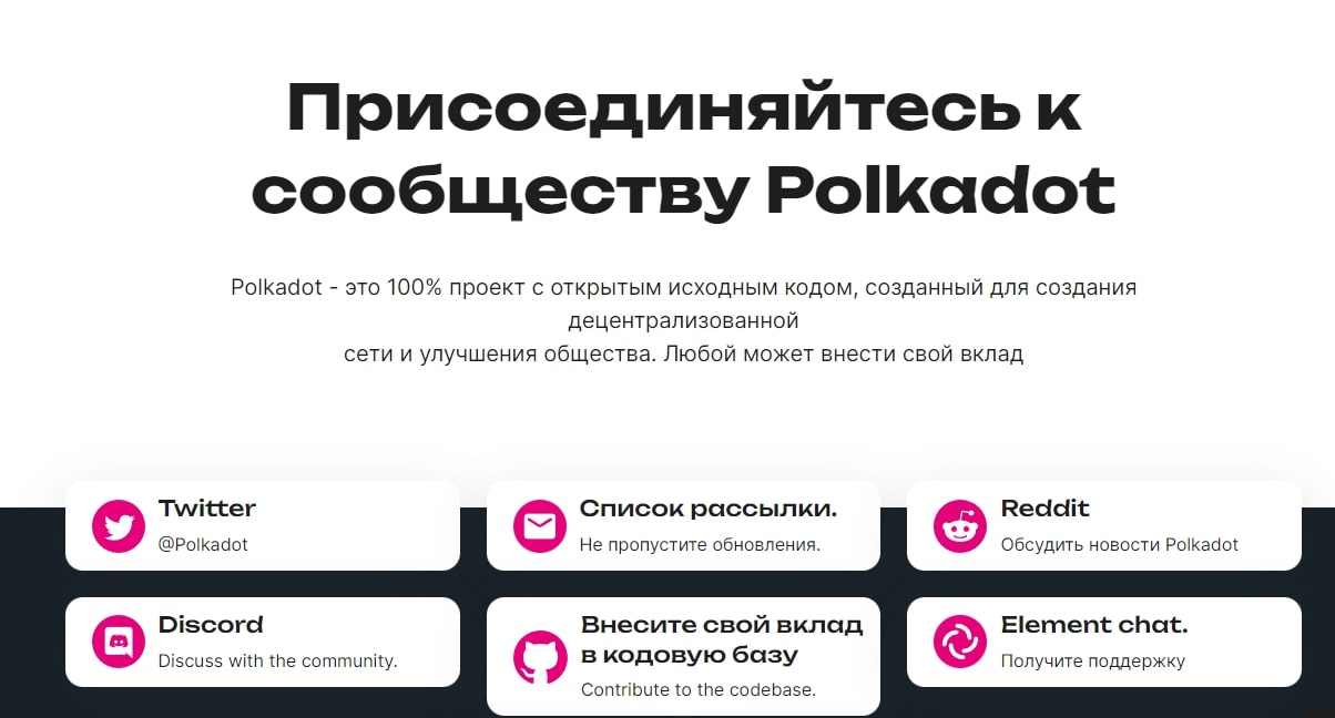 Сообщество Polkadot