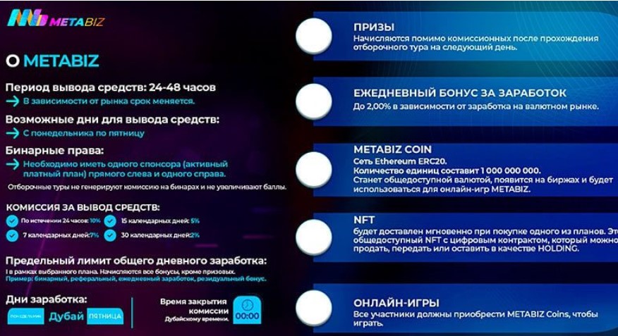 Проект Metabiz