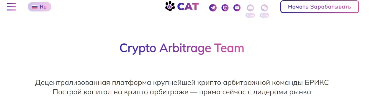 Проект Mycat Team