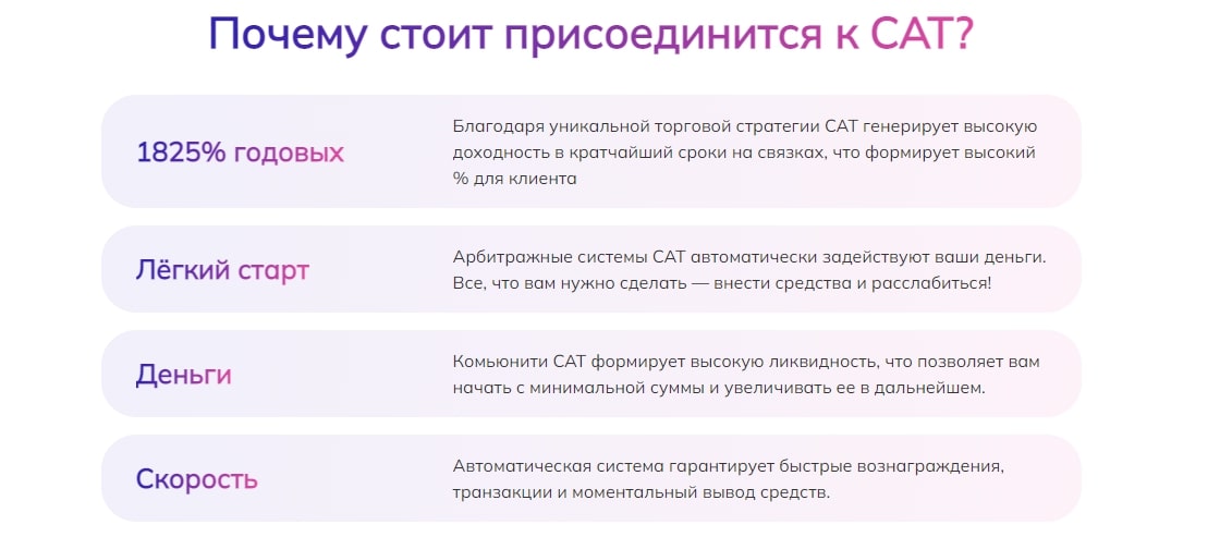 Условия в Mycat Team