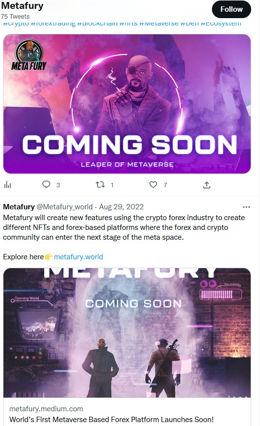 Metafury World проект