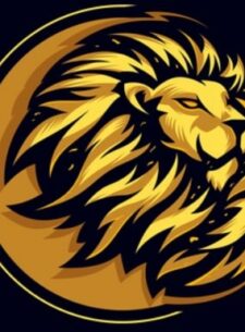 P2P Lion