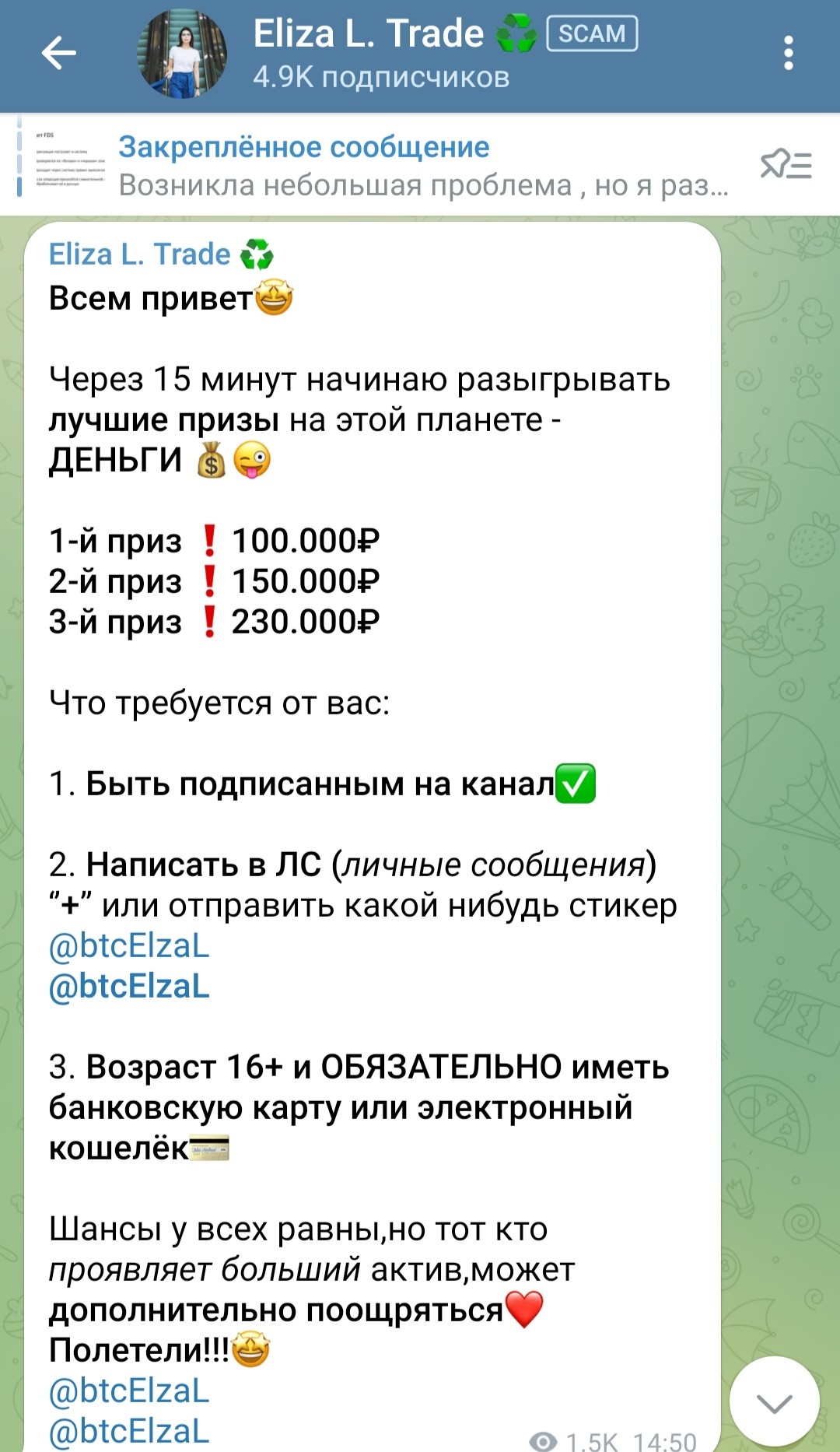 BtcElzaL условия проекта