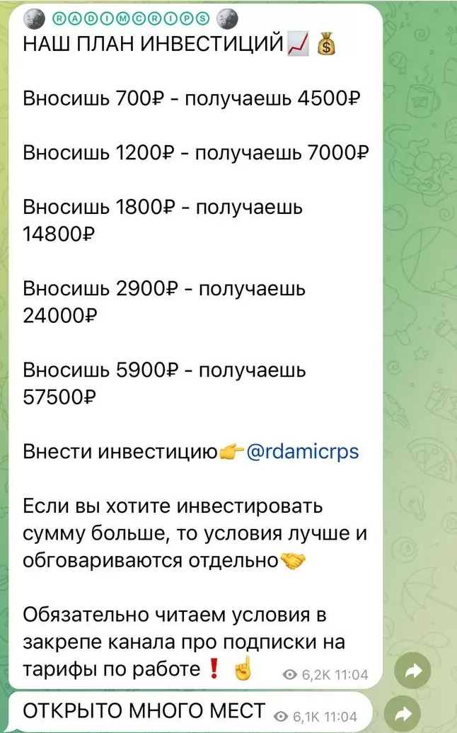 Условия инвестиций RADIMCRIPS