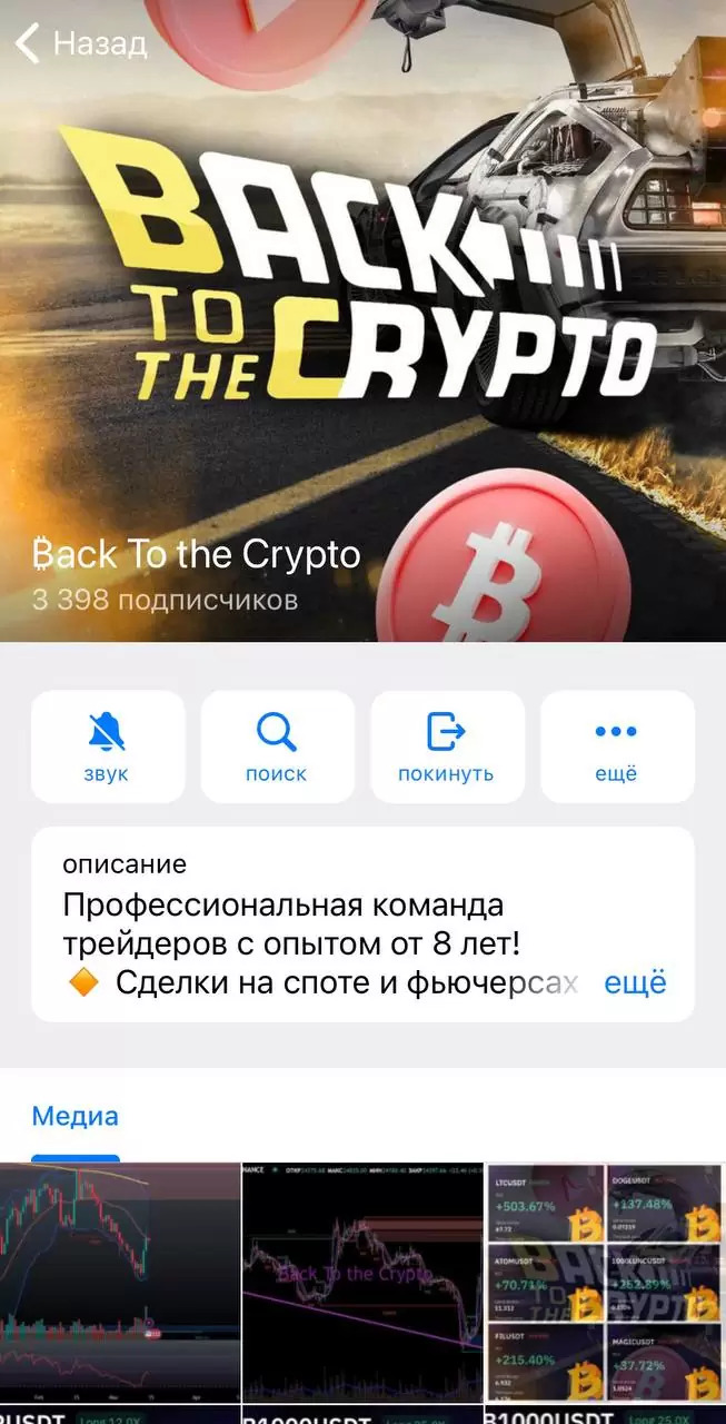 Back To the Crypto телеграм