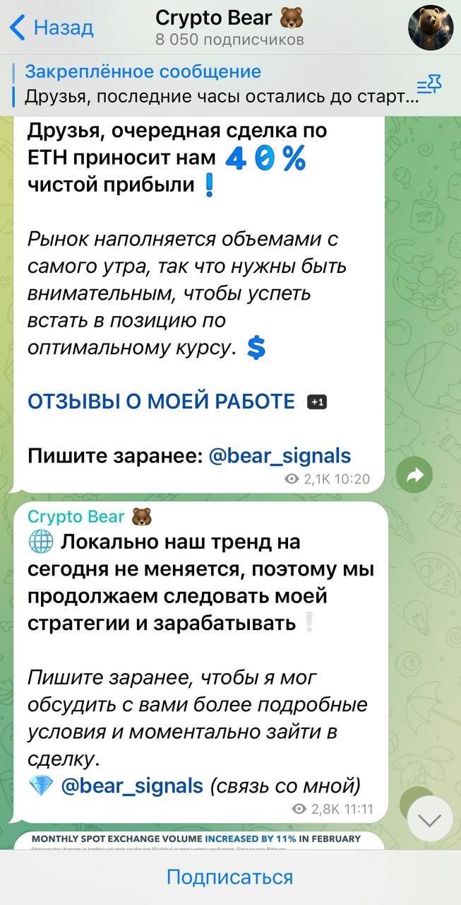 Сrypto Bear отзывы