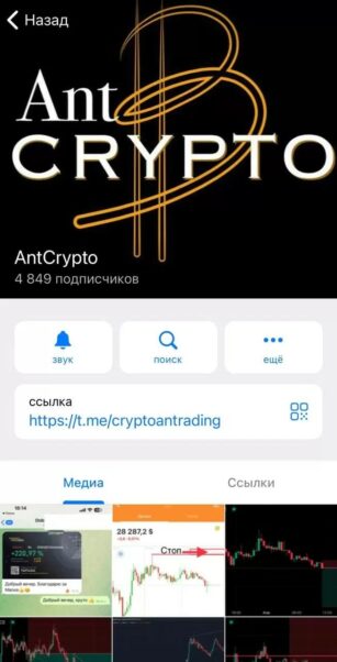 AntCrypto телеграмм