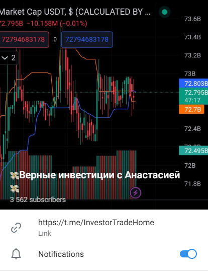 Информация о канале Верные инвестиции с Анастасией