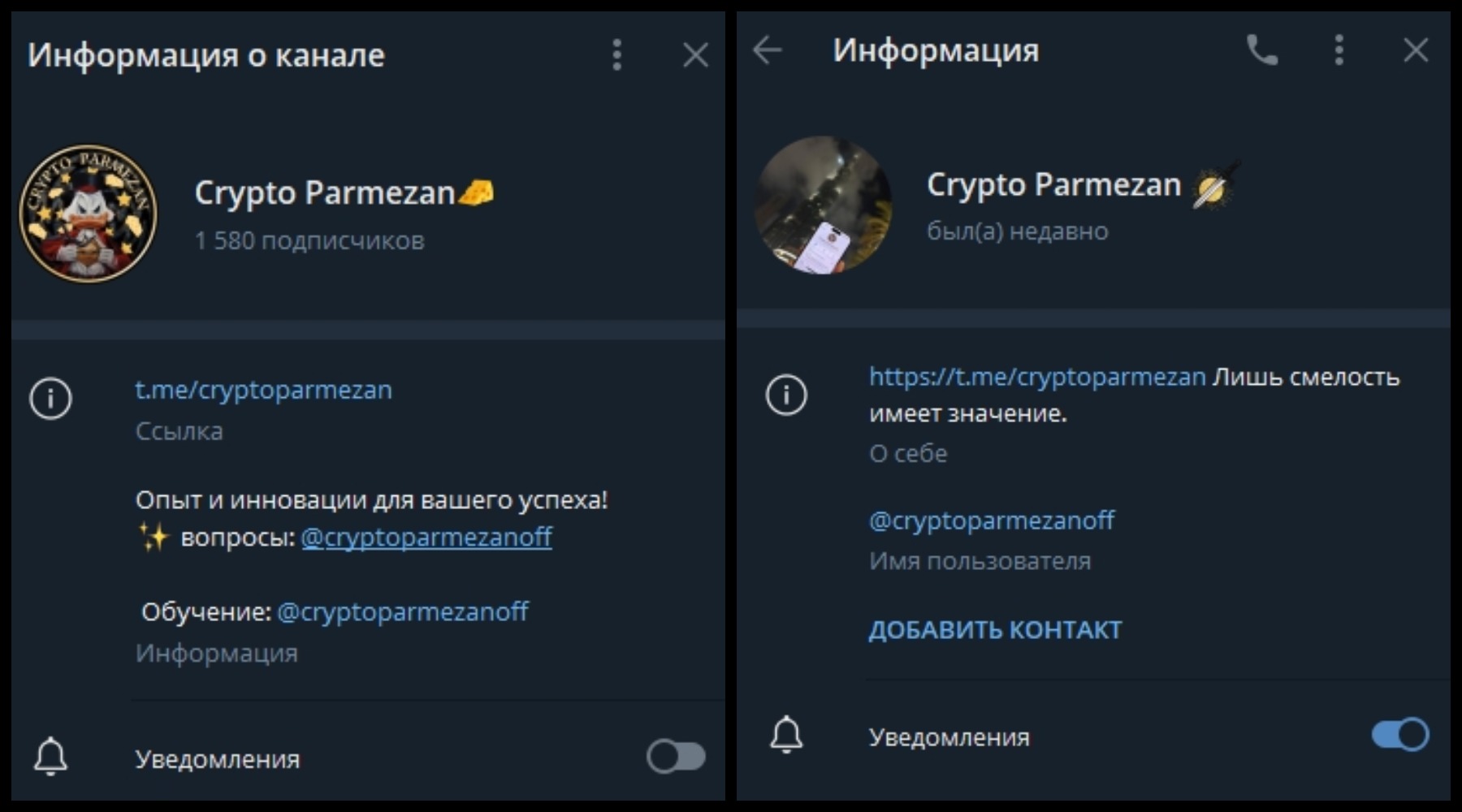 Информация о каналах Crypto Parmezan 